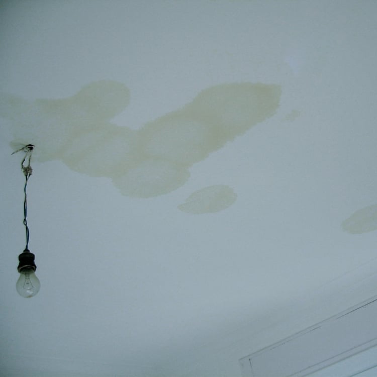 water stain in ceiling
