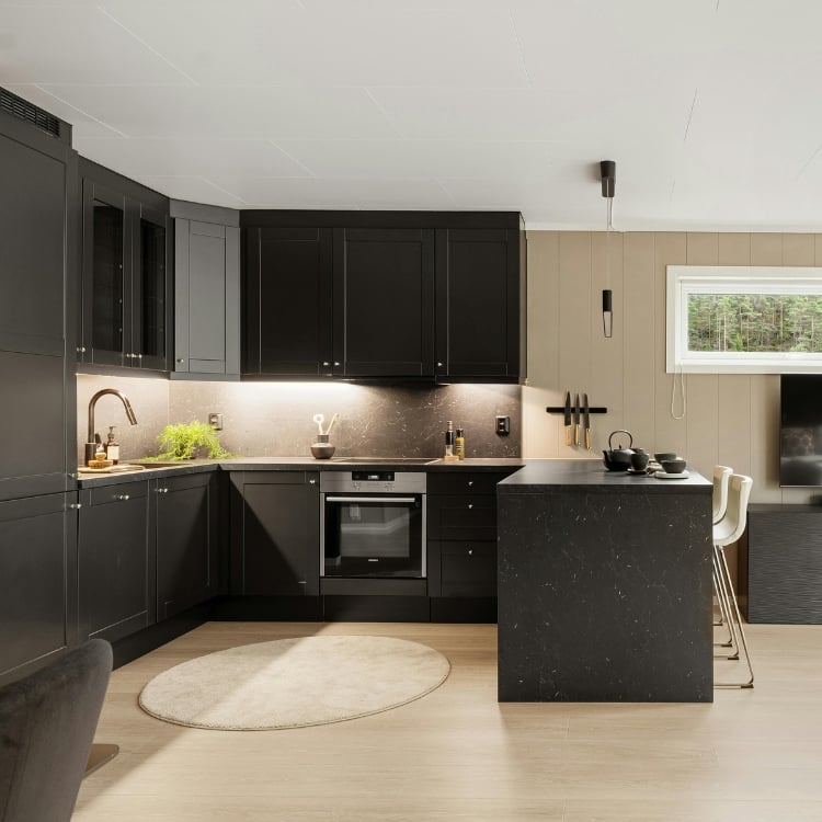 lower level kitchenette