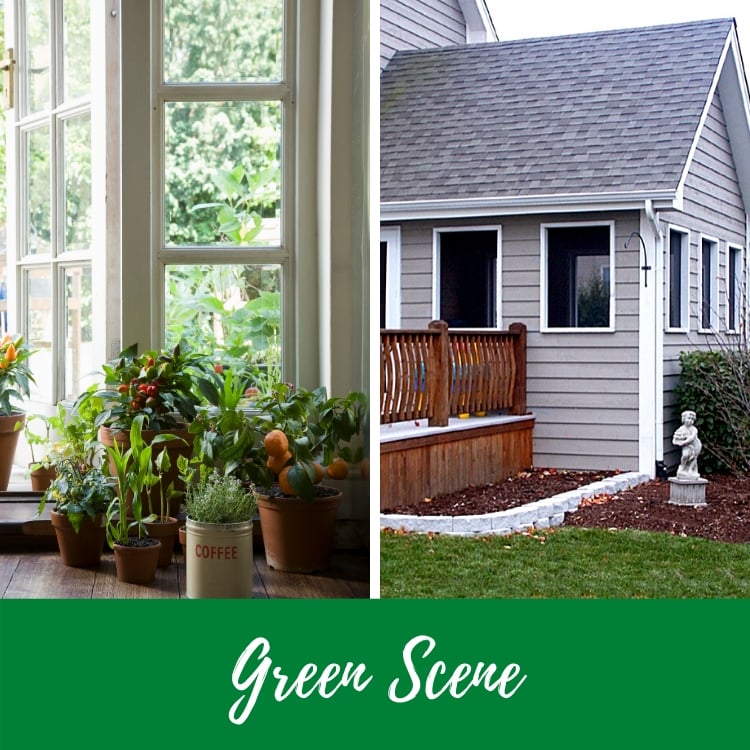 Screened Porches and Sunrooms