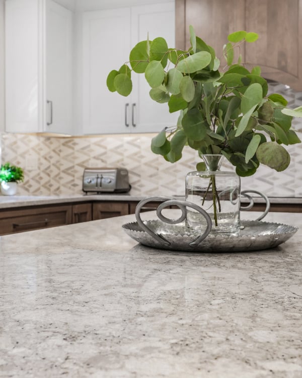 Updated & Upgraded Kitchen Remodel in Naperville