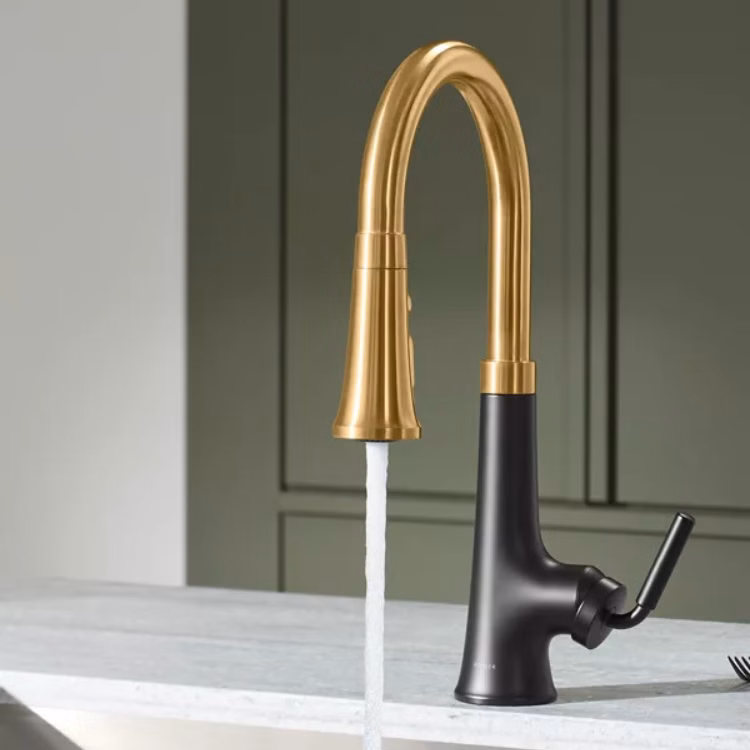 Kohler black and gold kitchen faucet