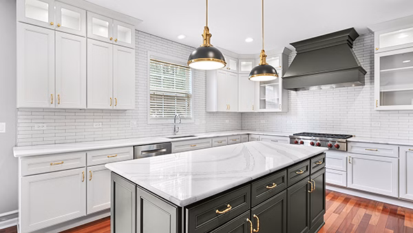 Naperville, Ganesh & Layla