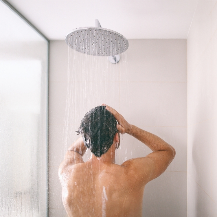 rain head shower head