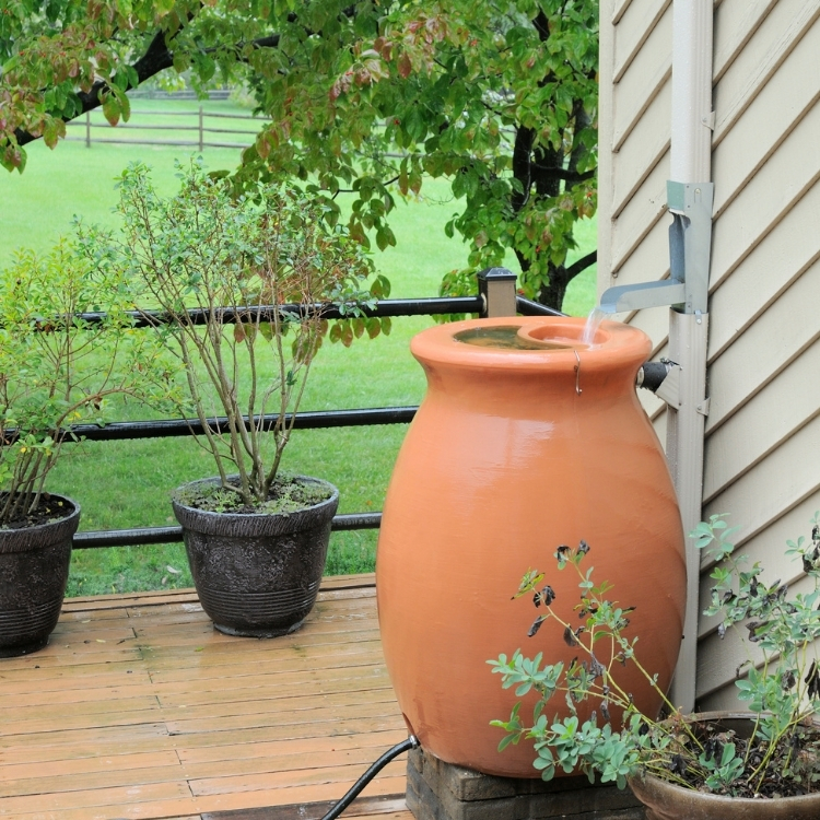 rain water collection barrel